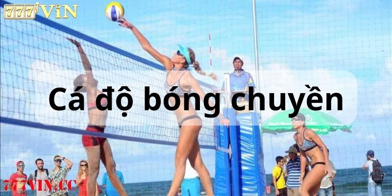 cá độ bóng chuyền