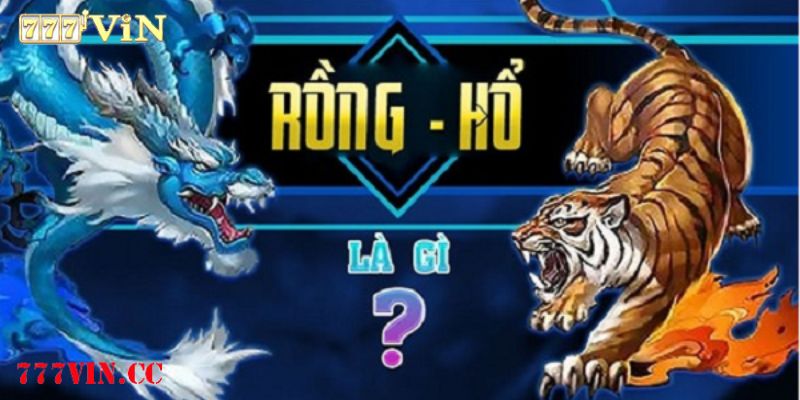 Rồng hổ là gì?